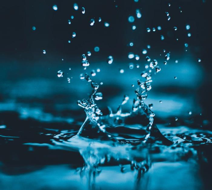 1653297679442645.jpg 15.jpg