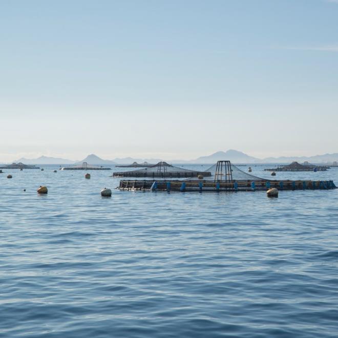 1655711365416336.jpg 養殖.jpg