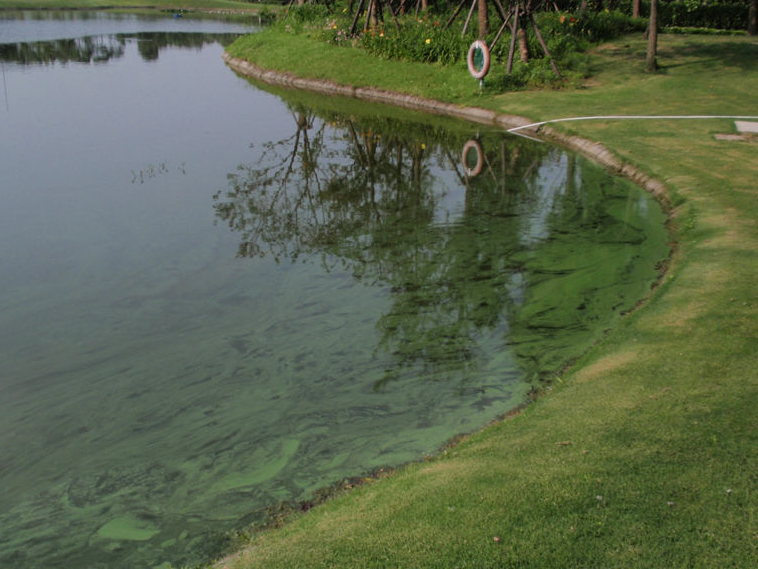 1686294815698066.png 渾濁.png