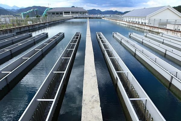 1694485008771045.jpg 自來水廠.jpg