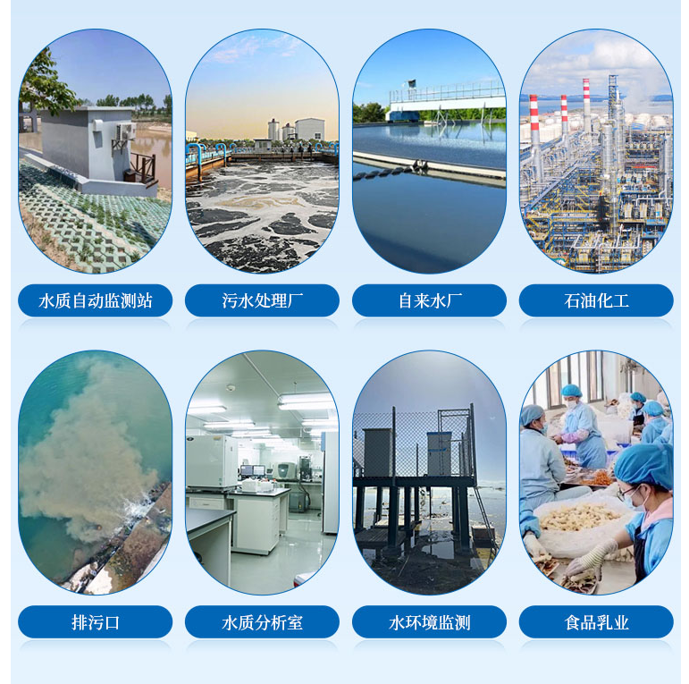 1713755787138112.png 葉綠素行業.png