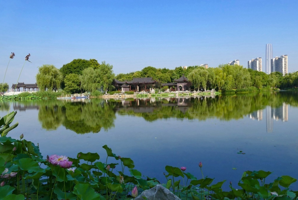 1733724788426733.jpg 1733724788426733.jpg