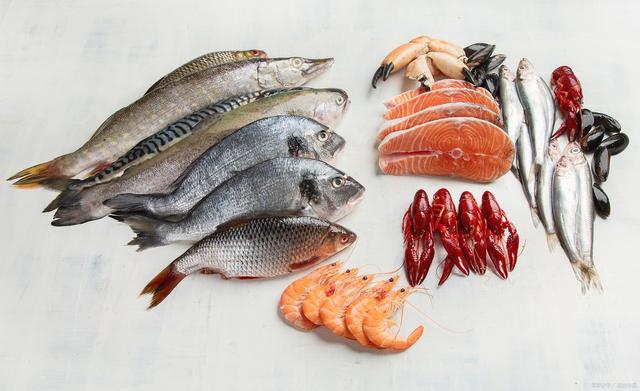 1742373711498758.jpeg 水產(chǎn)養(yǎng)殖.jpeg