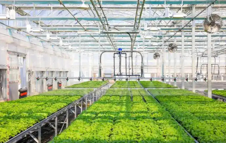 1763001502755035.jpg 育苗基質廠.jpg